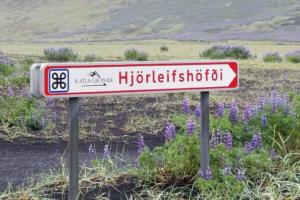 Cape Hjorleifshofdi / Yoda Cave